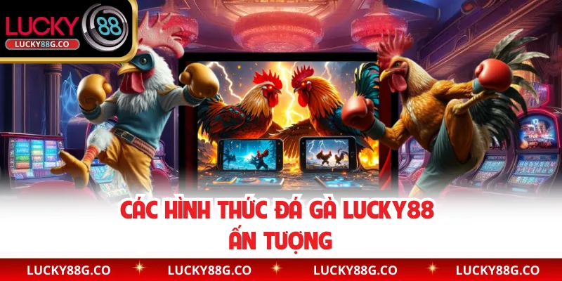 Các hình thức đá gà Lucky88 ấn tượng 
